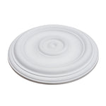 Ceiling Medallion, 12" OD x 1-1/8"P, Round, Polyurethane, Factory Primed - DHCM-02